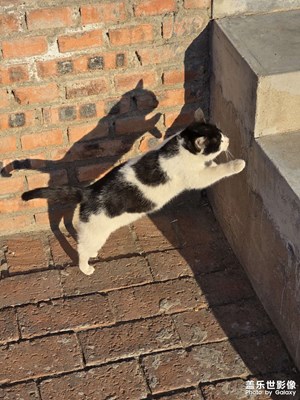 【冬日即景】+冬日鄉(xiāng)村