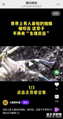 這個蜘蛛真牛啊