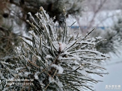 【冬日即景】+冬日美景