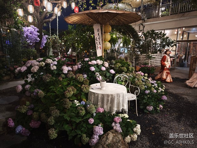 【活動回顧】豆伴花園