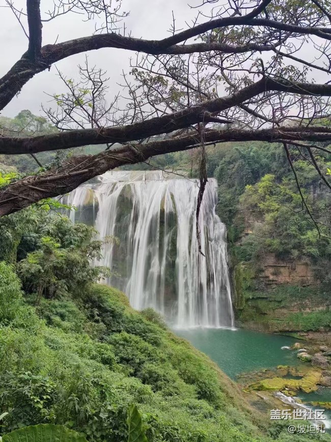 【2024難忘旅行】黃果樹