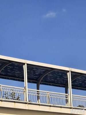 【冬日即景】+天氣晴