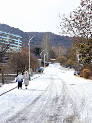 【城市的溫度】+2025年的第一場(chǎng)雪