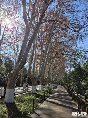 【城市的溫度】+南京