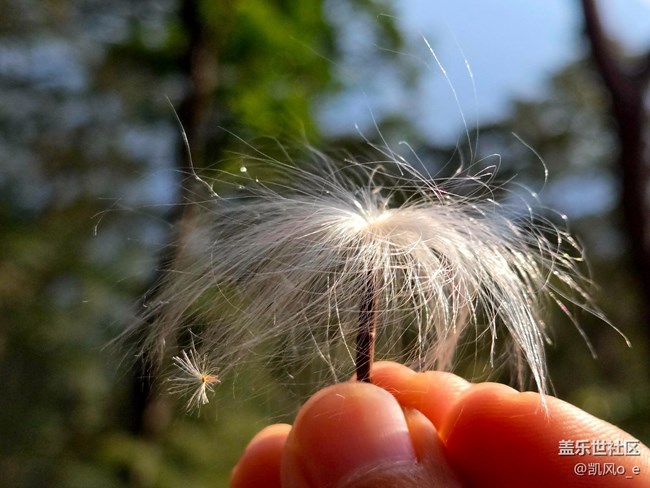 用 Galaxy Z Fold6 拍了拍生活片段