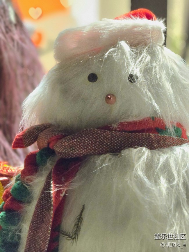 用 Galaxy Z Fold6 拍了拍生活片段