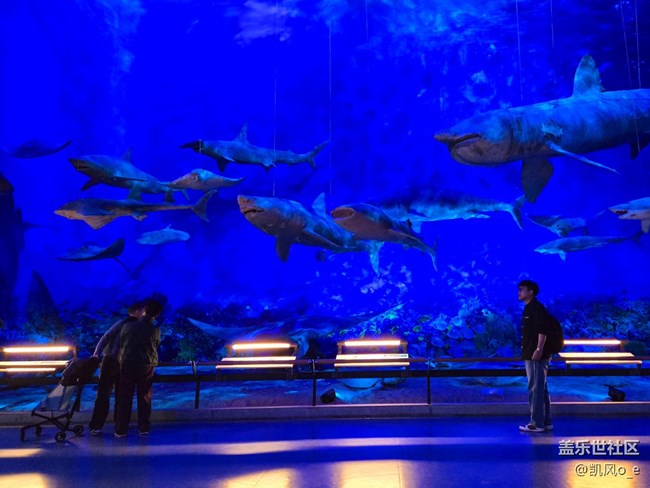 用 Galaxy Z Fold6 拍了拍廣東省博物院