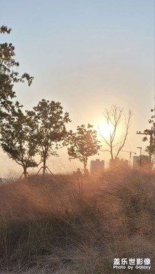 【城市的溫度】+周末游園