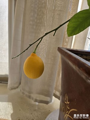 【城市的溫度】+城市中我家的陽(yáng)臺(tái)