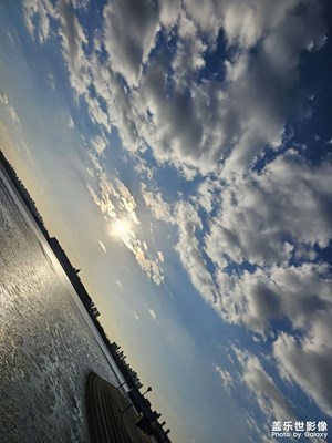 [冬日即景]隨拍