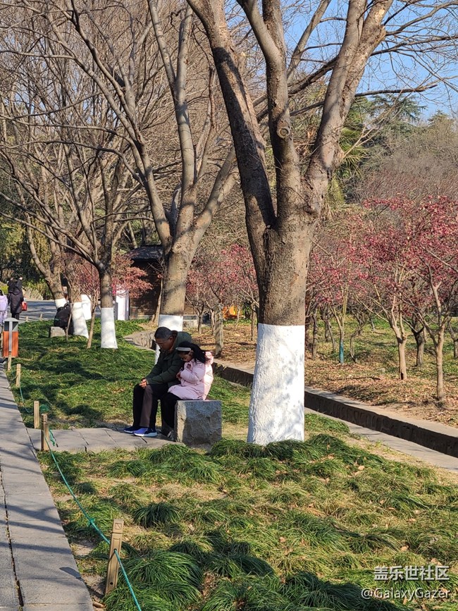 【冬日靜謐】溫暖冬日