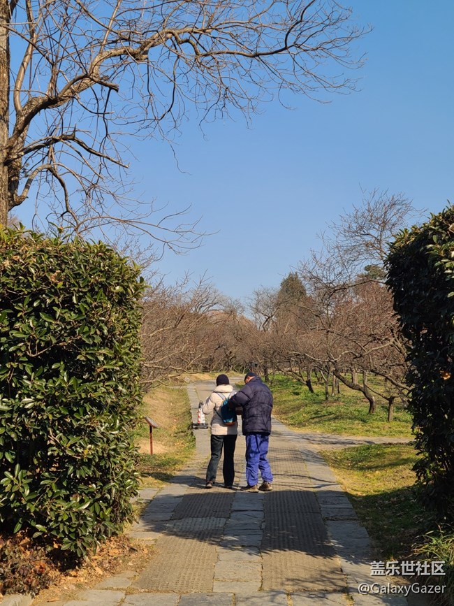 【冬日靜謐】溫暖冬日