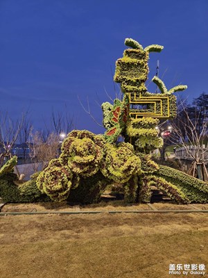 【城市的溫度】＋街邊夜拍