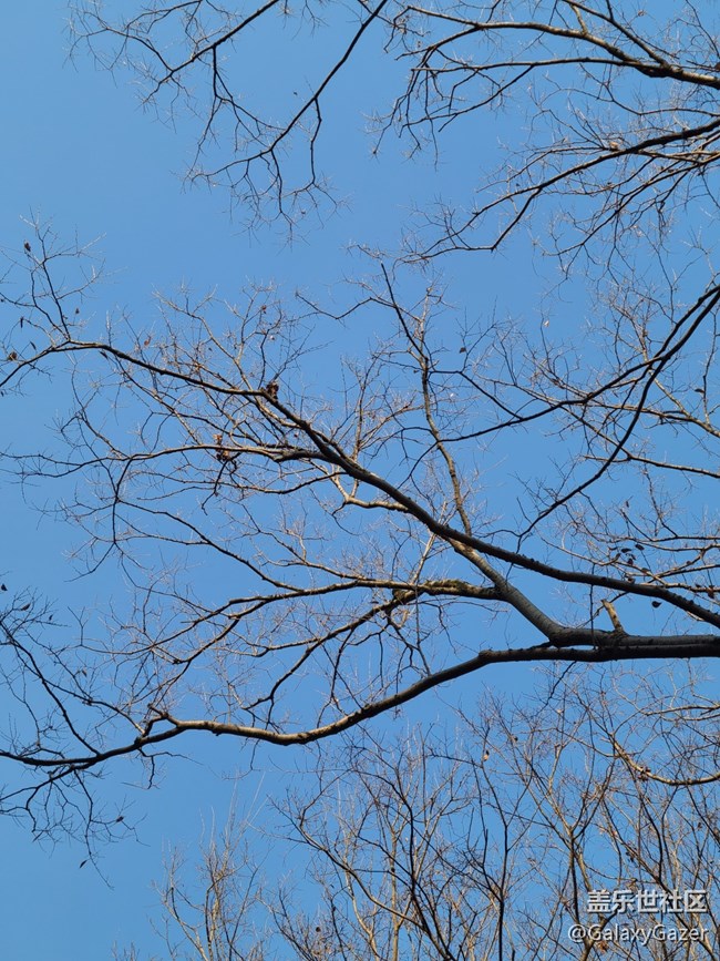 【冬日靜謐】溫暖冬日