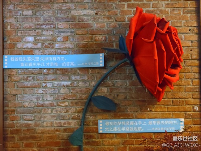 【冬日靜謐】冬天的夜晚