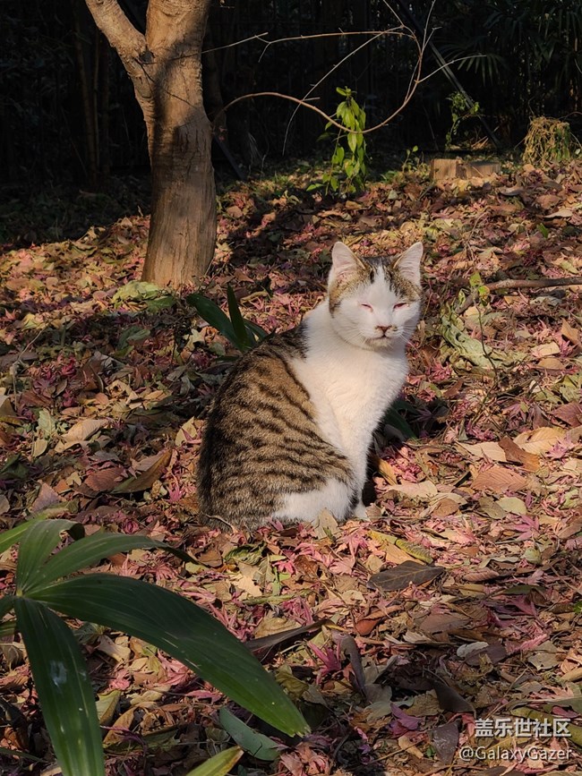 【冬日靜謐】溫暖冬日