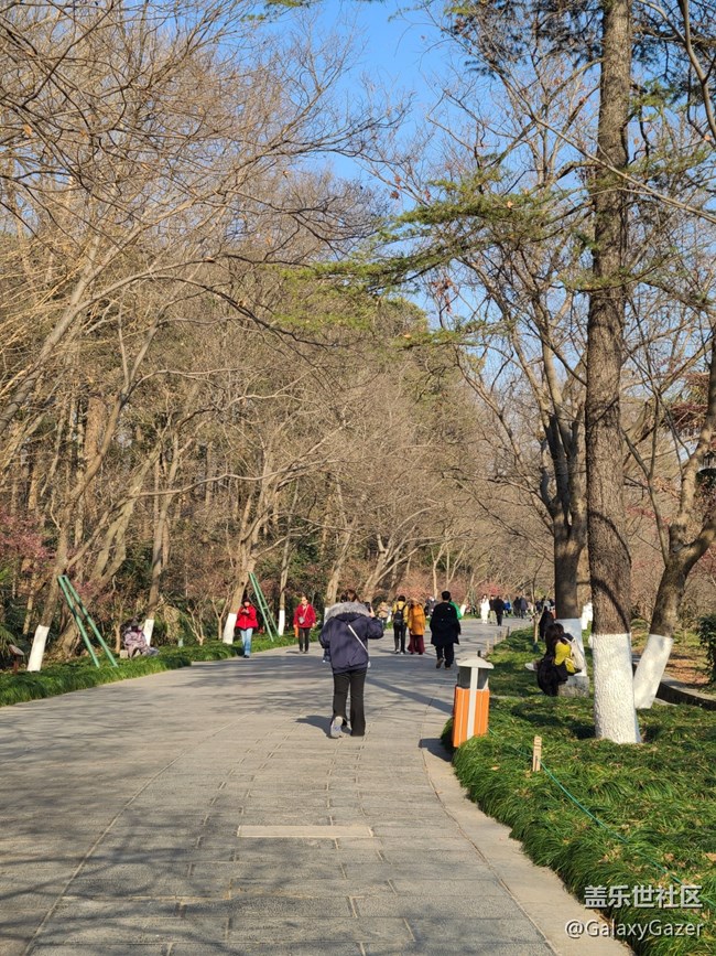 【冬日靜謐】溫暖冬日