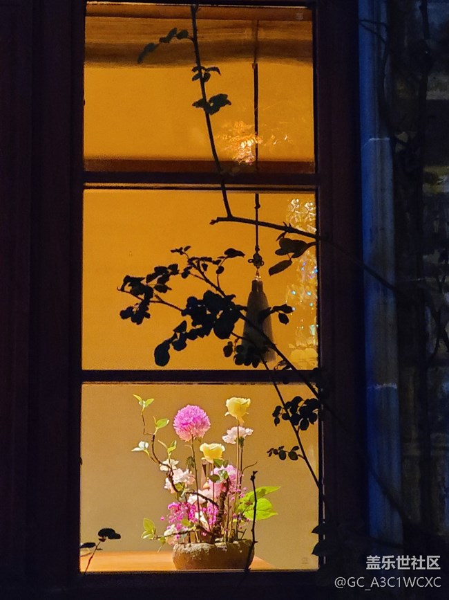 【冬日靜謐】冬天的夜晚