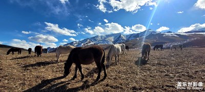 西藏?(????????)??????