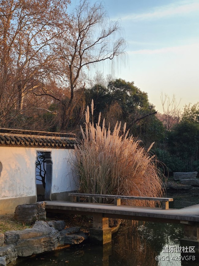 【冬日靜謐】靜謐小院