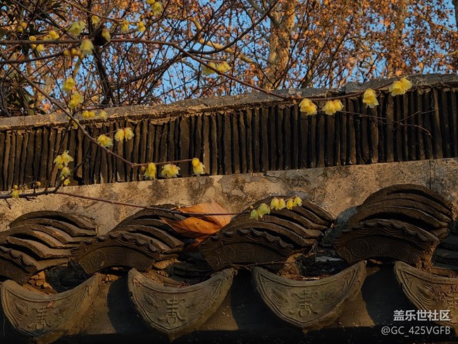 【冬日靜謐】靜謐小院