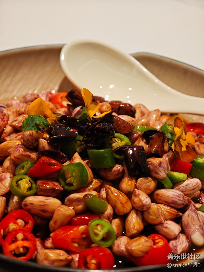 回顧(2024沈陽星部落聚會)