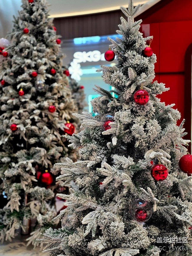 【世博天地LABUBU展線下攝影活動】+攝影回顧