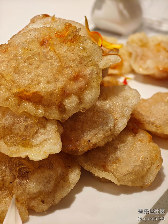 回顧(2024沈陽星部落聚會)