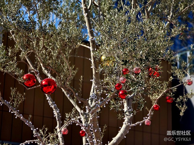 【世博天地LABUBU展線下攝影活動】+攝影回顧