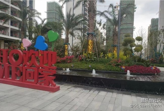 【年味】回家過年