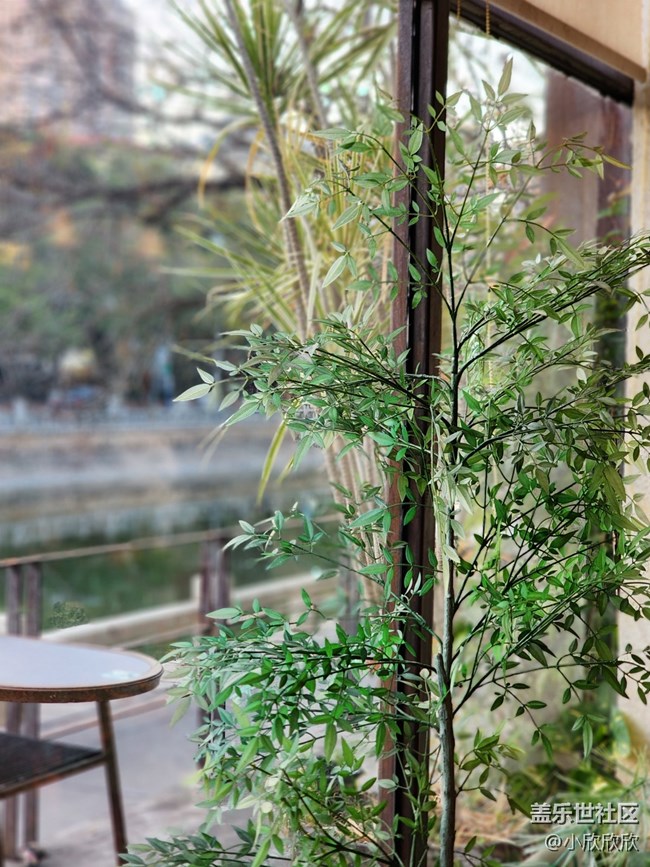 【冬日靜謐】廈門冬景