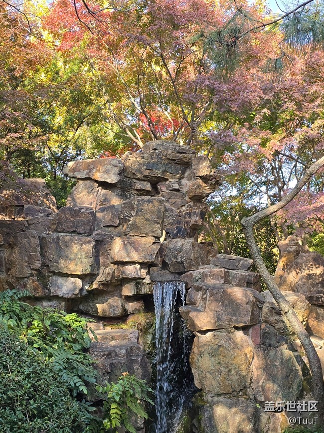 【新年到】+愿一切皆好