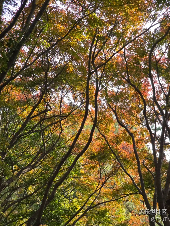 【新年到】+愿一切皆好