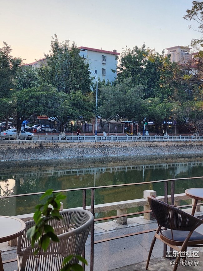 【冬日靜謐】廈門冬景