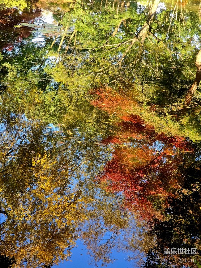 【新年到】+愿一切皆好