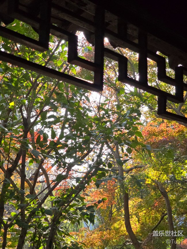 【新年到】+愿一切皆好