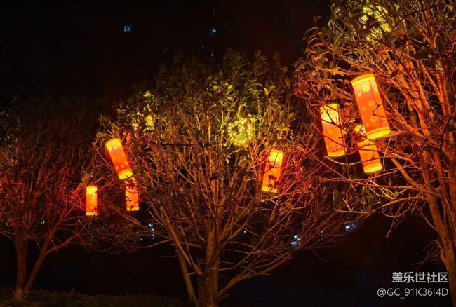 【新年到】滿樹炮竹