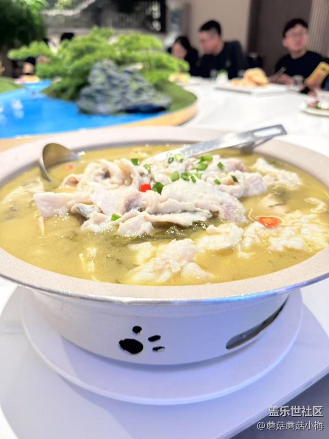 【回顧貼】沈陽星部落小伙伴們的年終聚會~