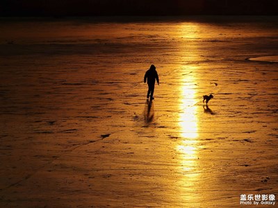 【城市的溫度】+冬日暖陽