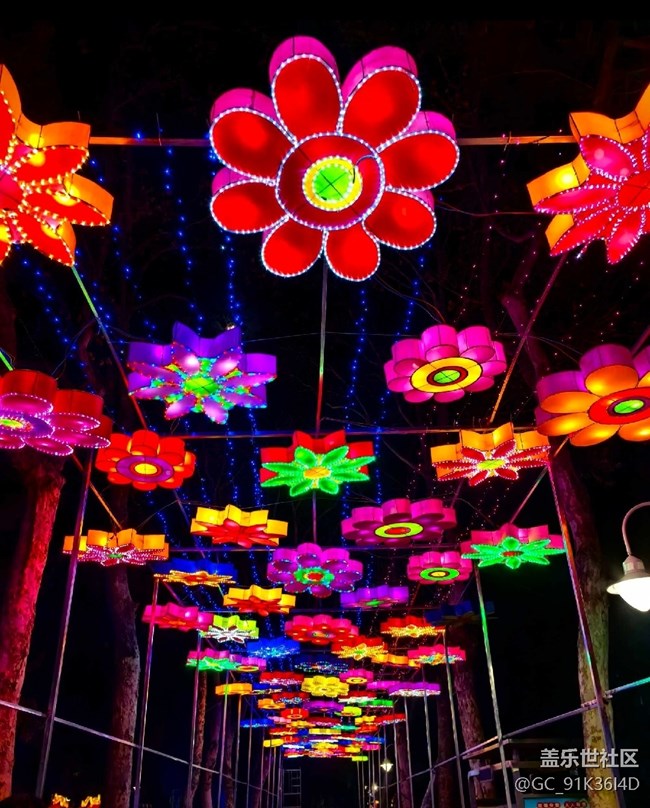 【新年到】新年花燈會