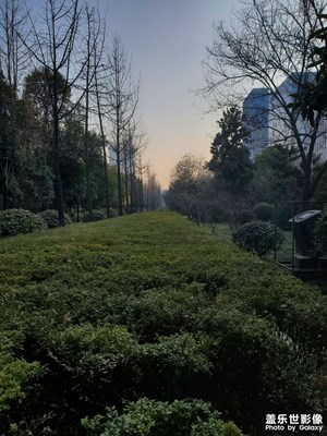 【城市的溫度】溫暖午后