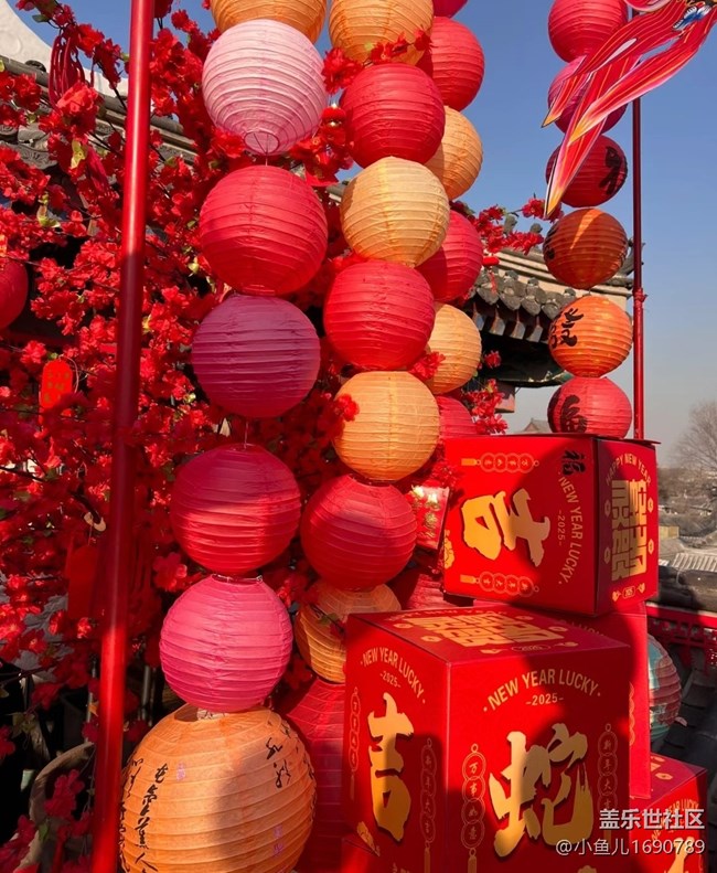 【新年到】故地重游