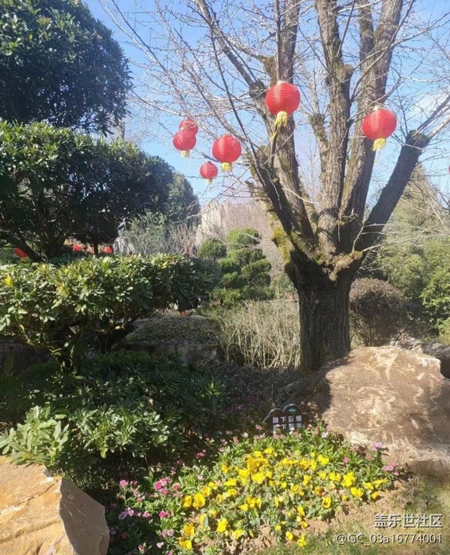 【年味】回家過年