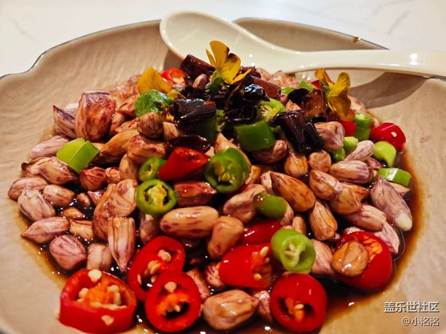 沈陽星部落2024年終聚會(huì)活動(dòng)回顧