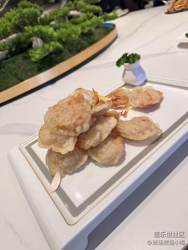 【回顧貼】沈陽星部落小伙伴們的年終聚會~