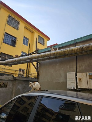 【城市的溫度】+城市街拍