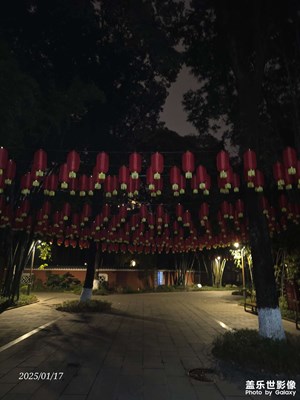 【城市的溫度】春節(jié)前的紅色