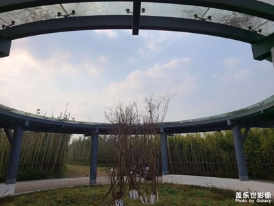 【城市的溫度】+城市隨拍