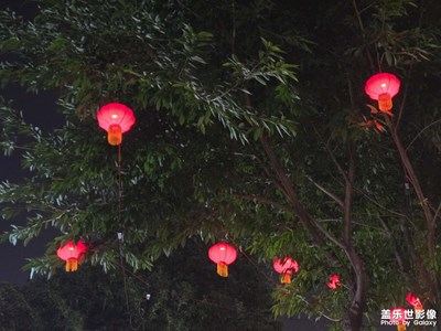 【城市的溫度】+新年快樂(lè)