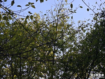 【城市的溫度】+簡單一天